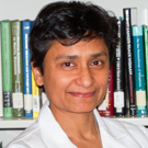 Ghosh Arudhati